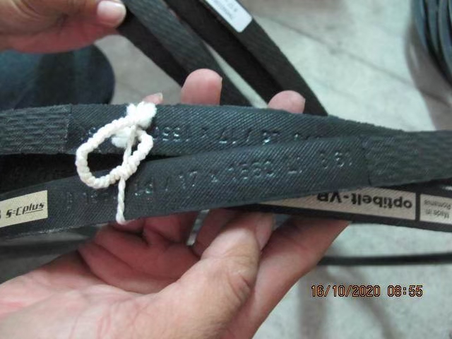 Belt Photo 13